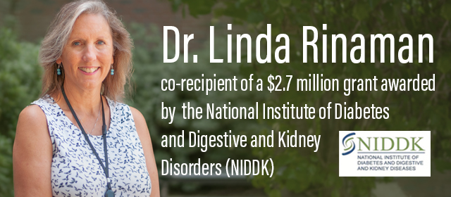 headshot of Dr. Rinaman