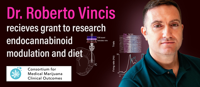 Dr. Roberto Vincis gazing into the camera